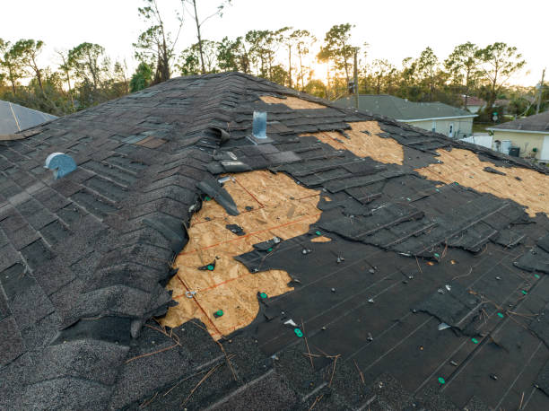 Best Emergency Roof Repair Services  in Jasper, IN